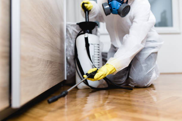 Best Flea Control Services  in Lake Shastina, CA