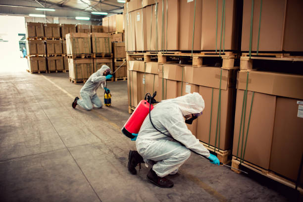 Best Termite Control Services  in Lake Shastina, CA