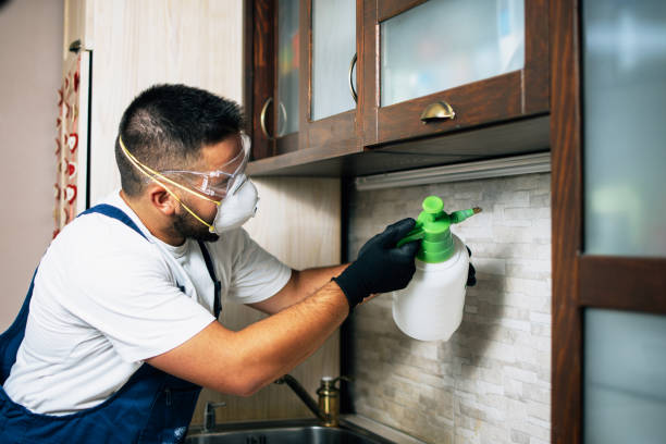 Best Pest Prevention Services  in Lake Shastina, CA