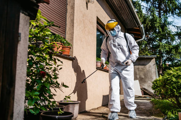 Best Rat Extermination Near Me  in Lake Shastina, CA