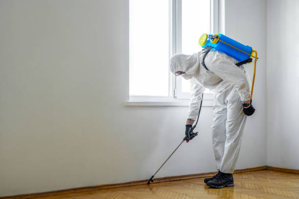 Best Pest Removal Services  in Lake Shastina, CA